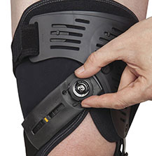 Rebound Cartilage